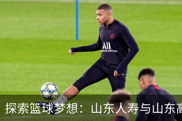 探索篮球梦想：山东人寿与山东高速男篮共启CBA探营新篇章